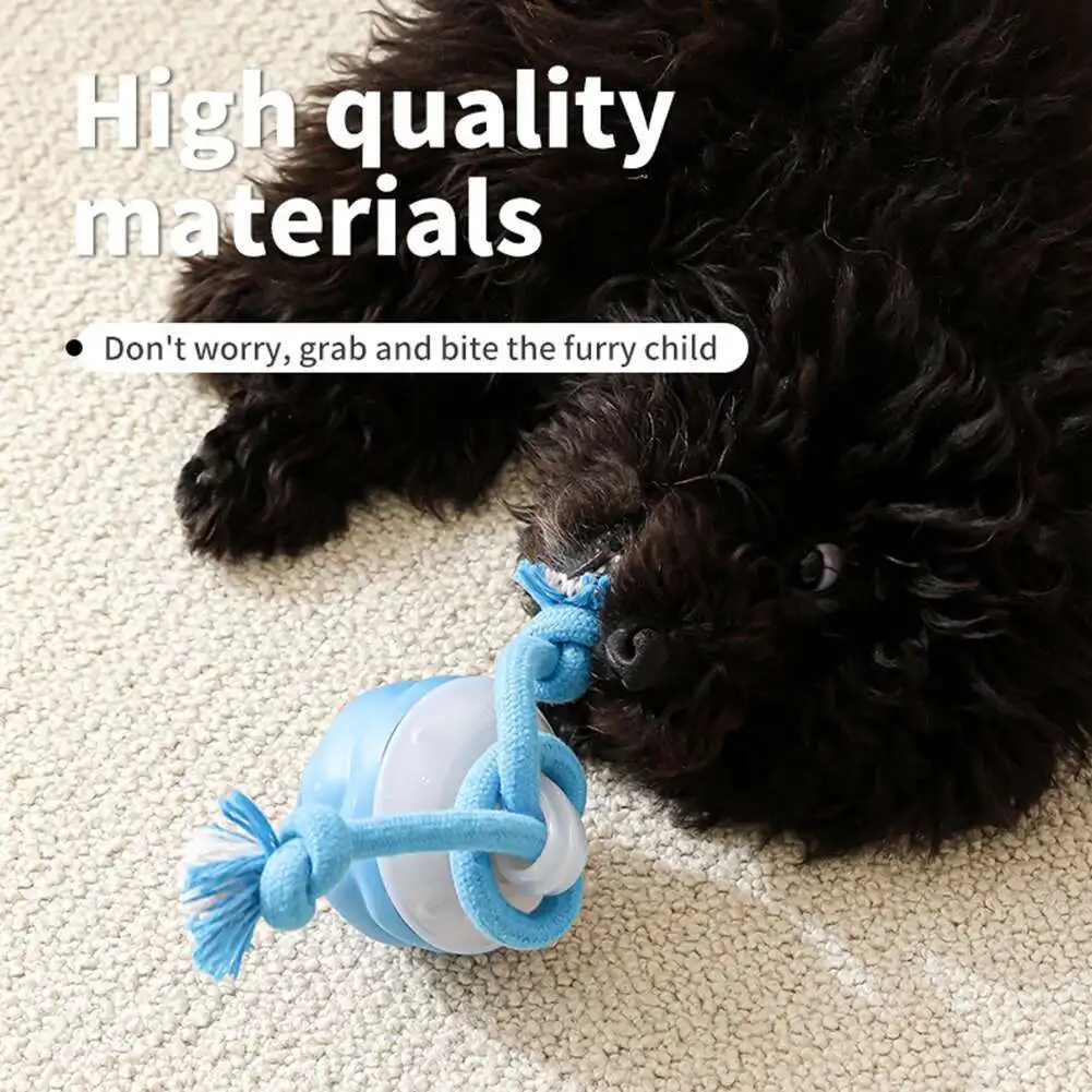 Bola Interativa para Cães com Corda Removível e Lavável - Imagem 4