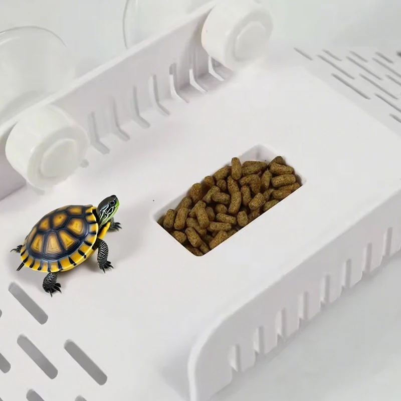 Plataforma para Tartarugas e Répteis com Ventosa e Comedouro - Imagem 5