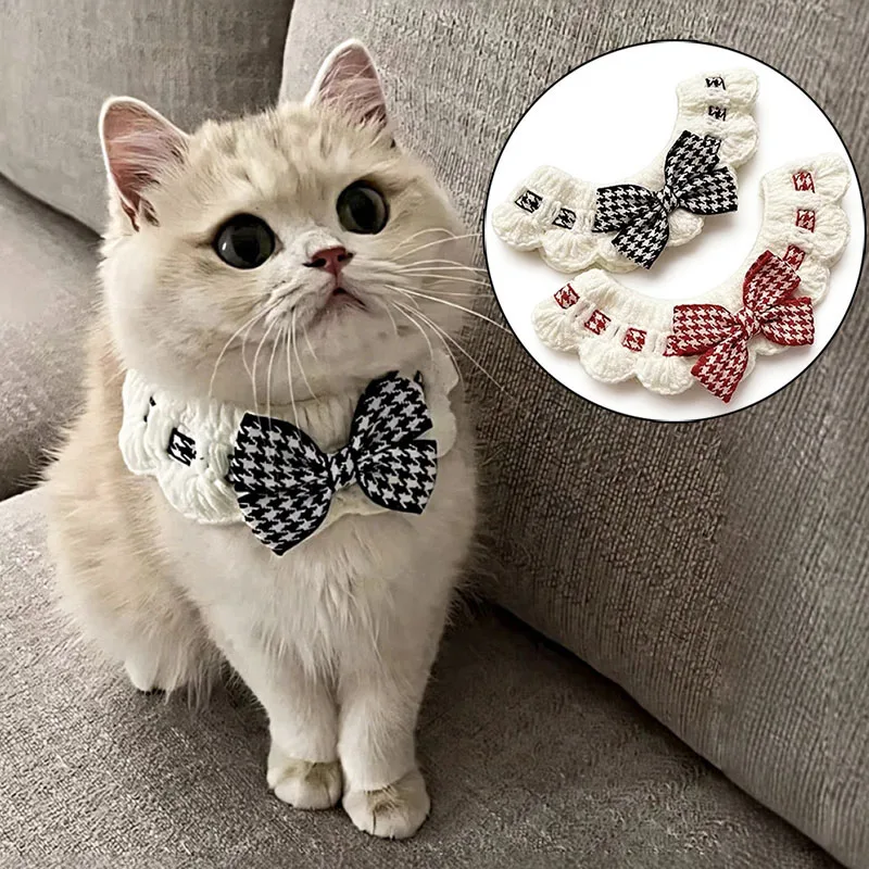 coleira de crochê para gatos