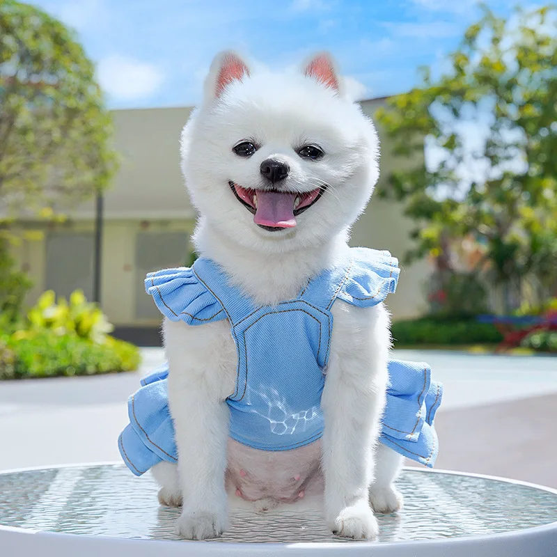 Arnês para Cães Pequenos de Poliéster Ajustável com Coleira - Image 4
