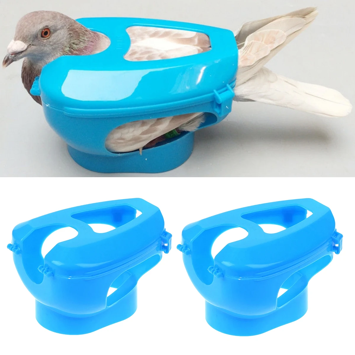 Suporte Fixo para Pombos com Design Circular Interno - Imagem 2