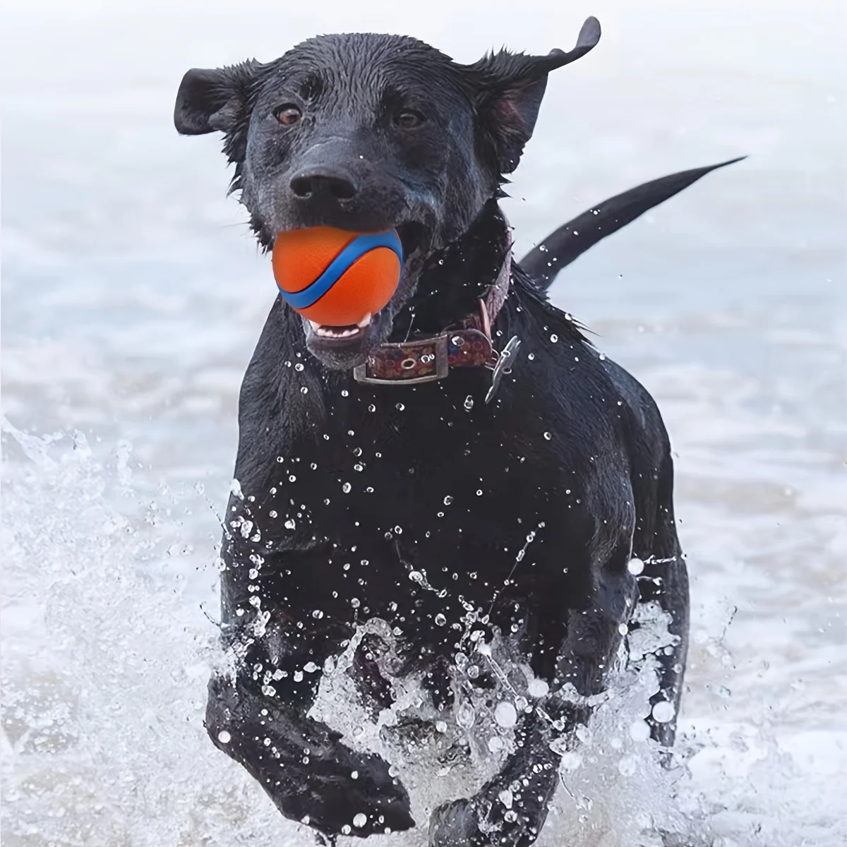 Bola de Mastigar para Cães de Silicone Durável para Raças Médias - Imagem 4