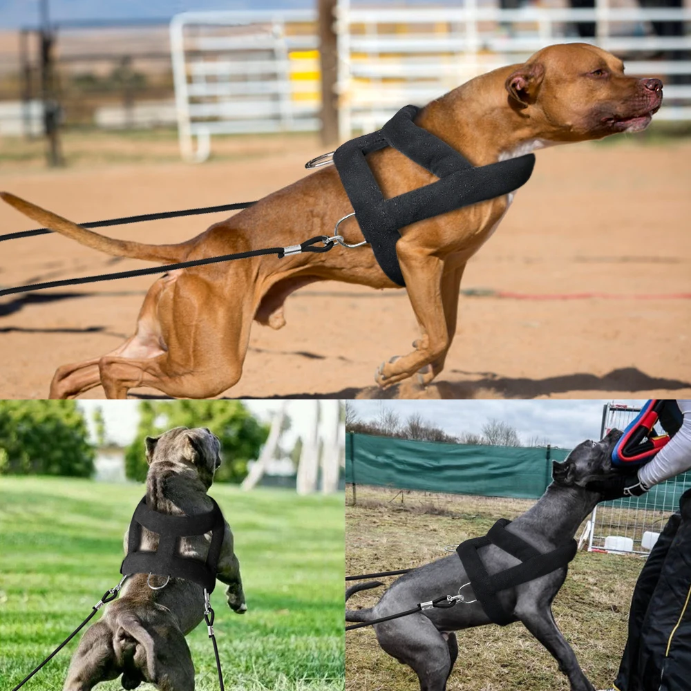 Peitoral para Cães de Trabalho Ajustável para Treinamento de Peso - Imagem 5