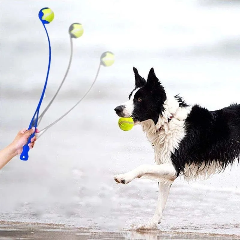 Lançador de Bolas para Cães Interativo com Cabo Ergonômico e Leve - Imagem 6