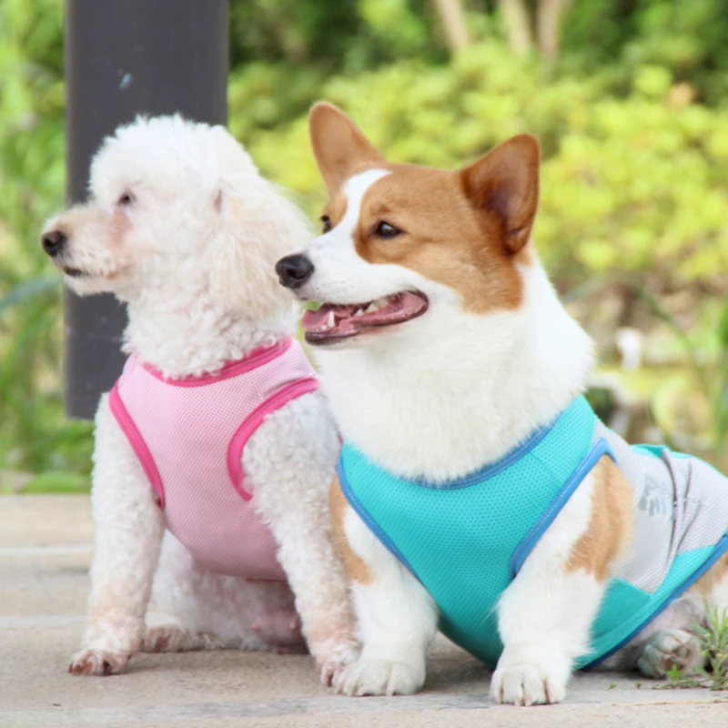 Colete de Resfriamento para Cães com Faixa Refletiva para Passeio - Image 2