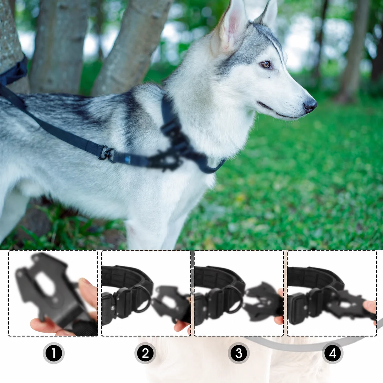 Guia de Nylon para Cães Grandes 30 cm com Fivela de Metal - Imagem 5