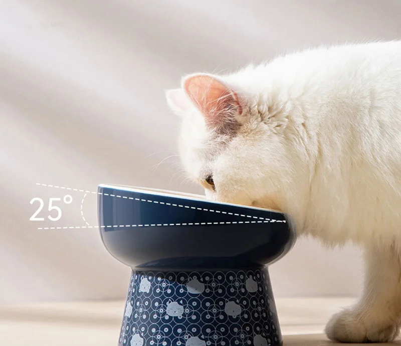 Tigela Dupla de Cerâmica para Gatos e Cães Pequenos Anti-Queda - Imagem 5