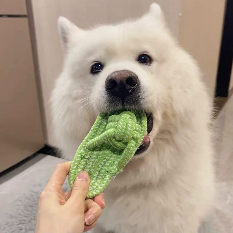Brinquedo de Corda para Cães Pequenos de Algodão em Nó de Chinelo - Imagem 5