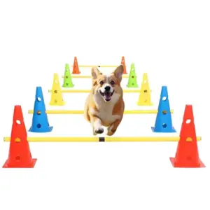 conjunto de agilidade para cães