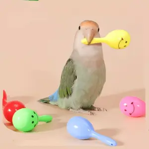 kit de brinquedos para papagaios