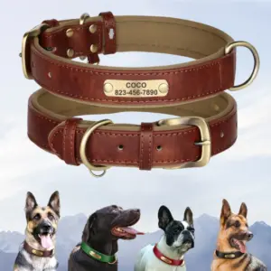 coleira de couro para cães com identificação
