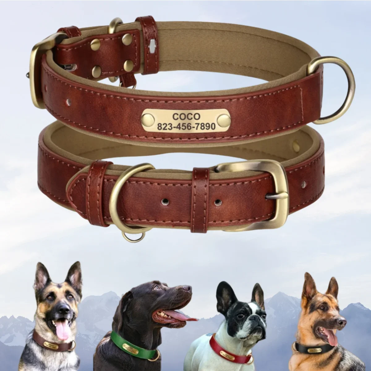 coleira de couro para cães com identificação