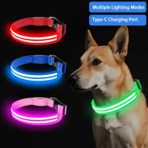 coleira led recarregável para cães