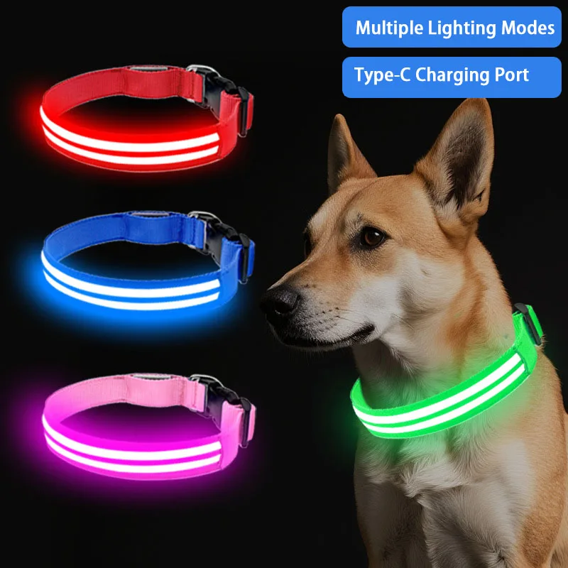 coleira led recarregável para cães