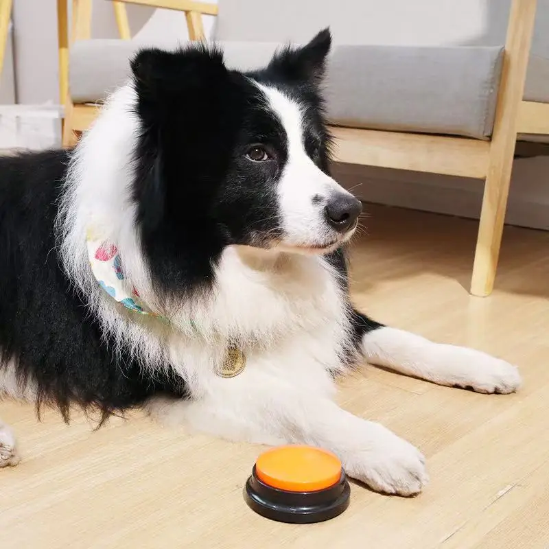 Botão de Comunicação para Cães Grava Voz 30s para Treinamento - Imagem 2