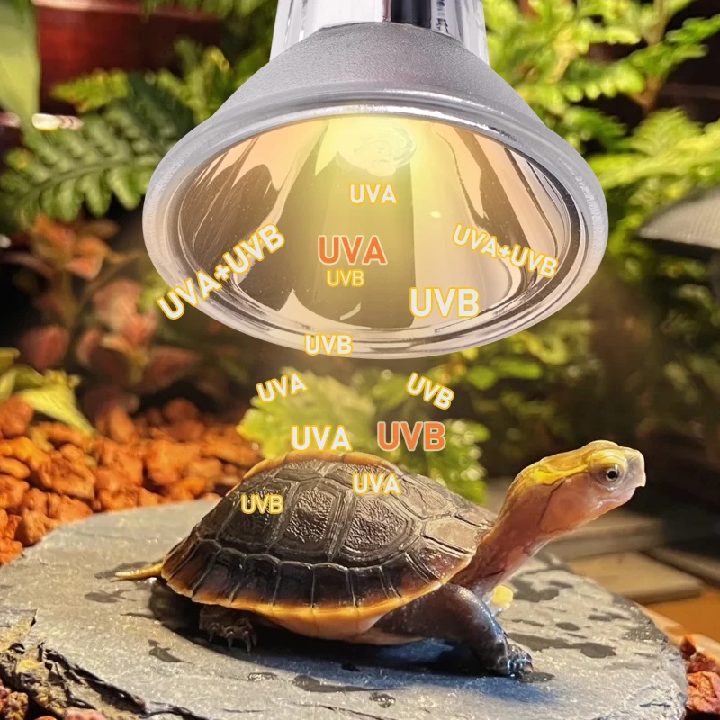 Lâmpada UVA UVB para Répteis 25W 50W 110V 240V - Imagem 6