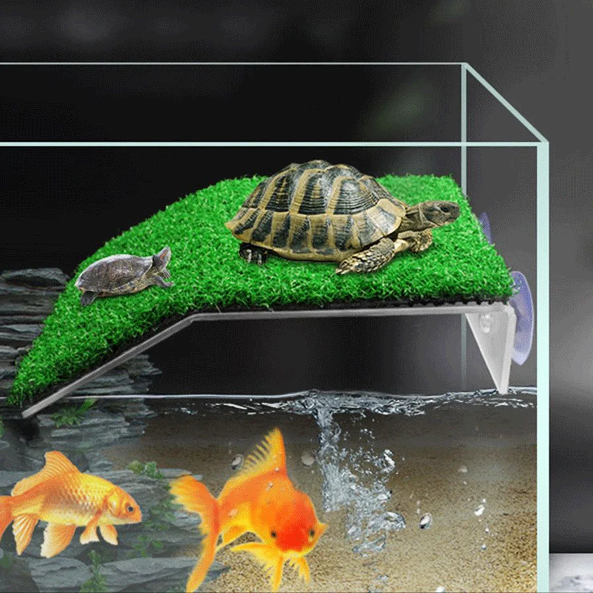 Plataforma de Descanso para Tartarugas com Grama Sintética e Ventosas - Imagem 3