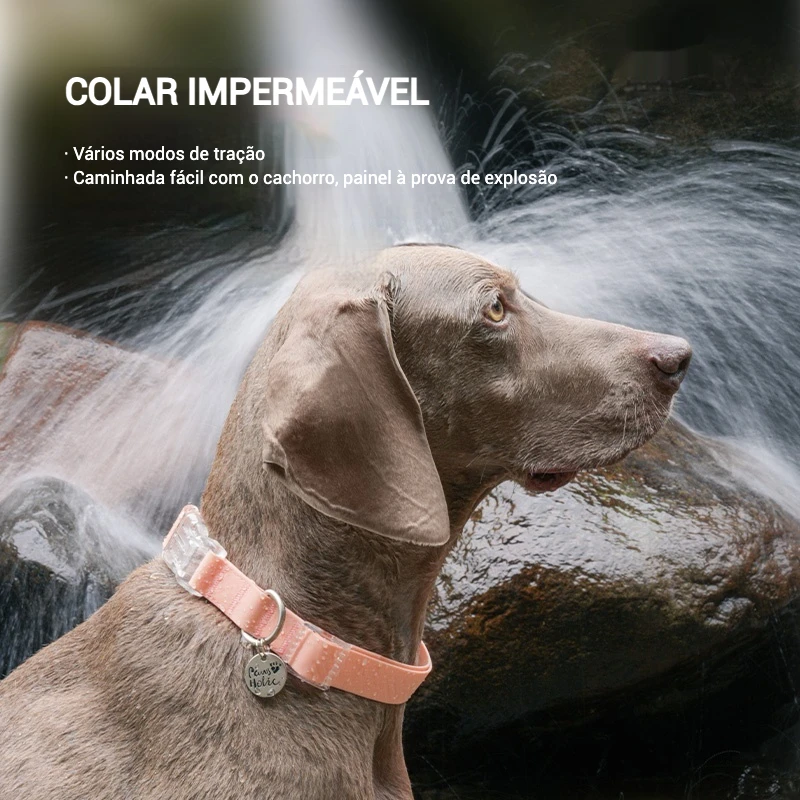 Coleira para Cães de PVC com Comprimento Ajustável - Imagem 4