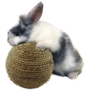 bola de grama natural para hamster
