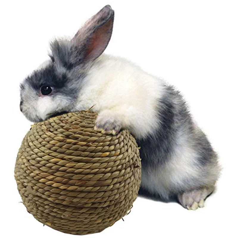 bola de grama natural para hamster