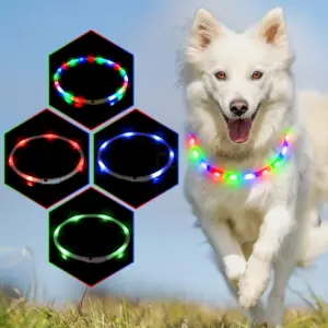 coleira LED recarregável para cães