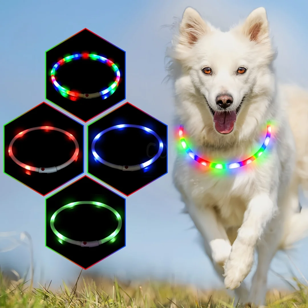 coleira LED recarregável para cães