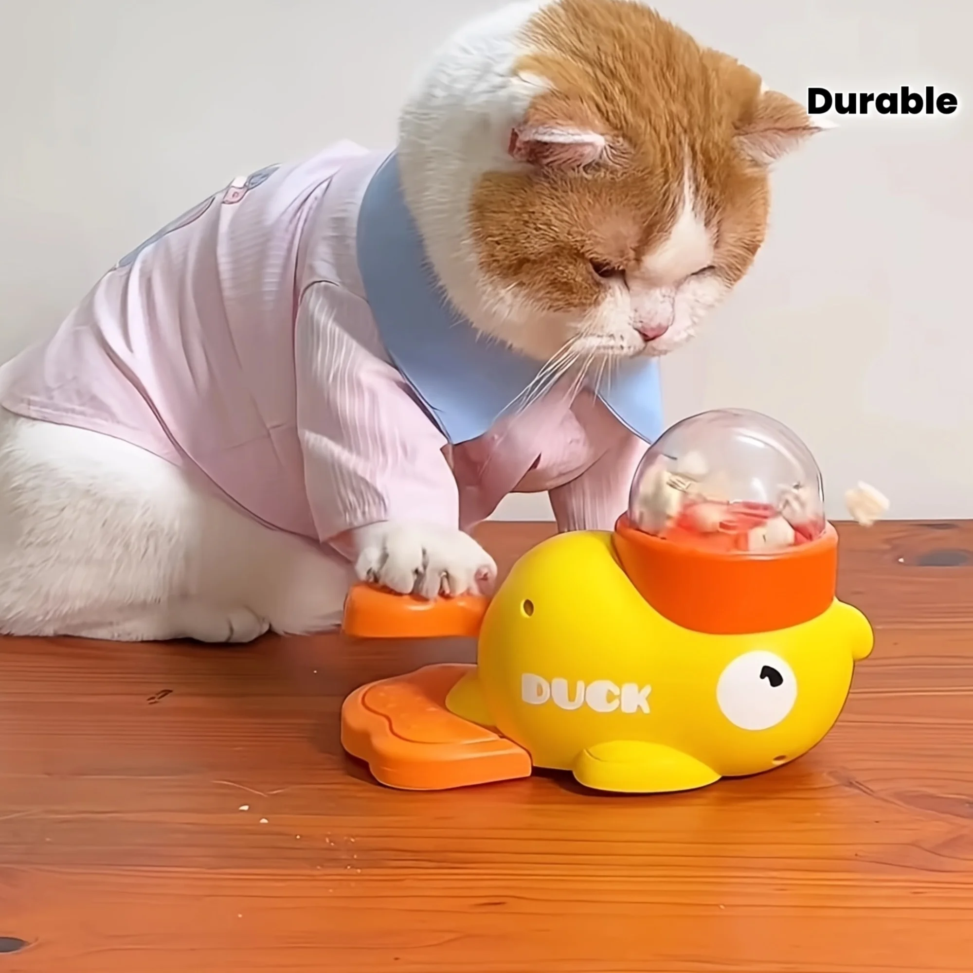 brinquedo interativo para gatos