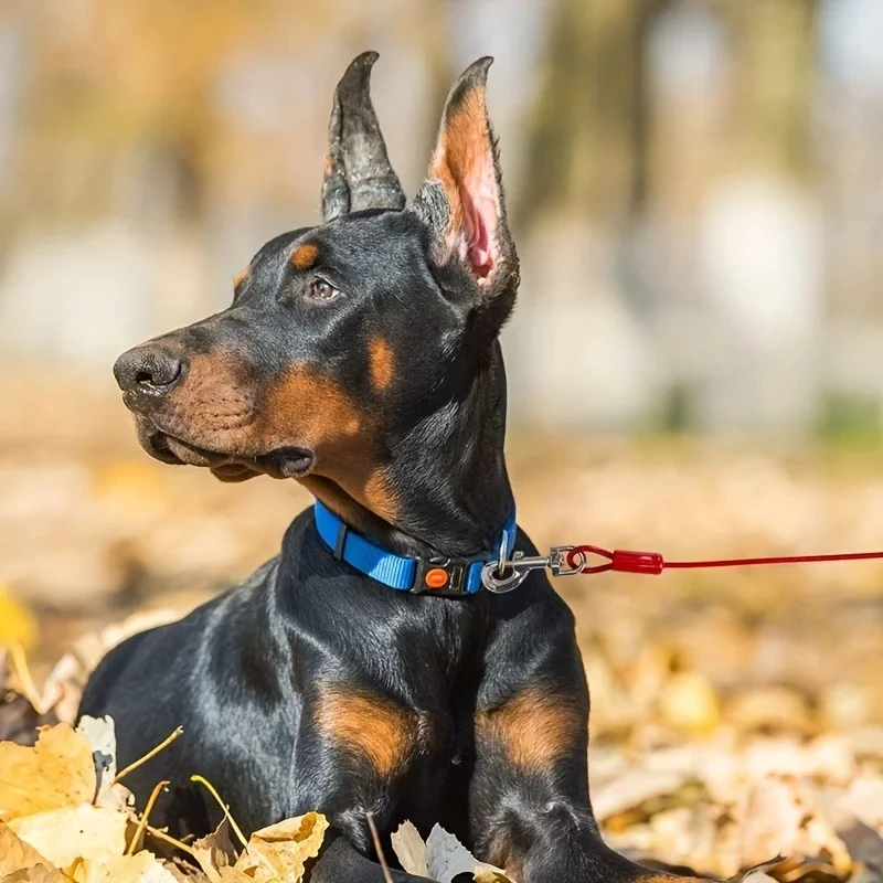 Guia Dupla para Cães de Aço 5mm x 3m com Ganchos de Metal - Imagem 4
