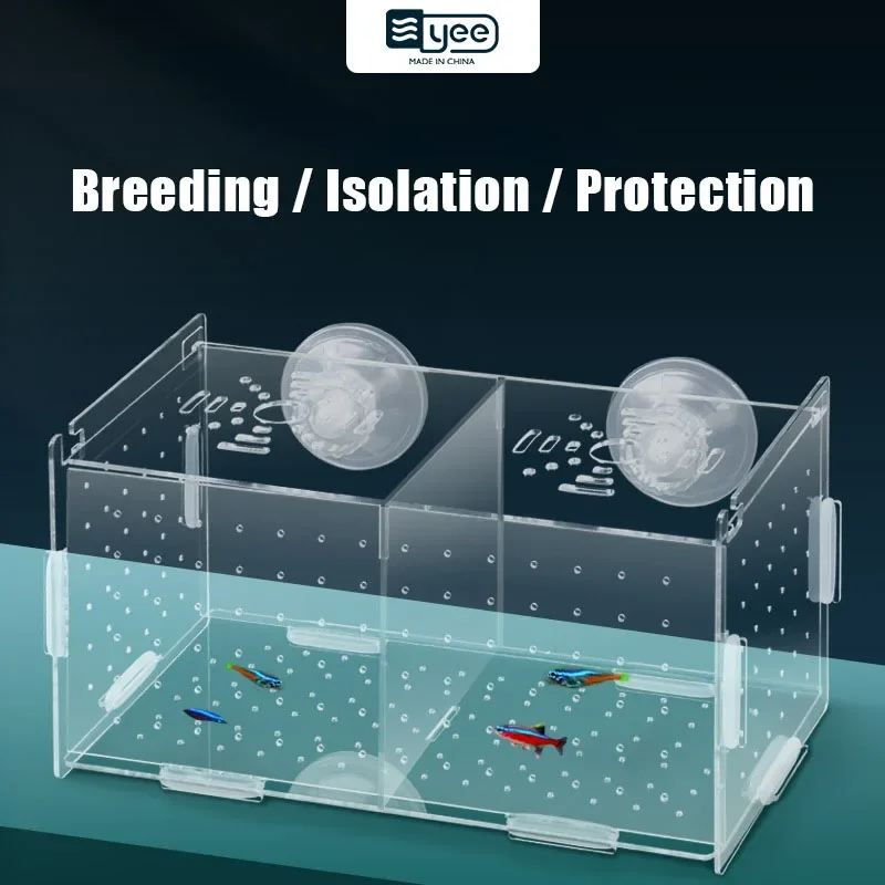 Caixa de Isolamento para Peixes Acrílica Transparente com Ventosas - Imagem 2