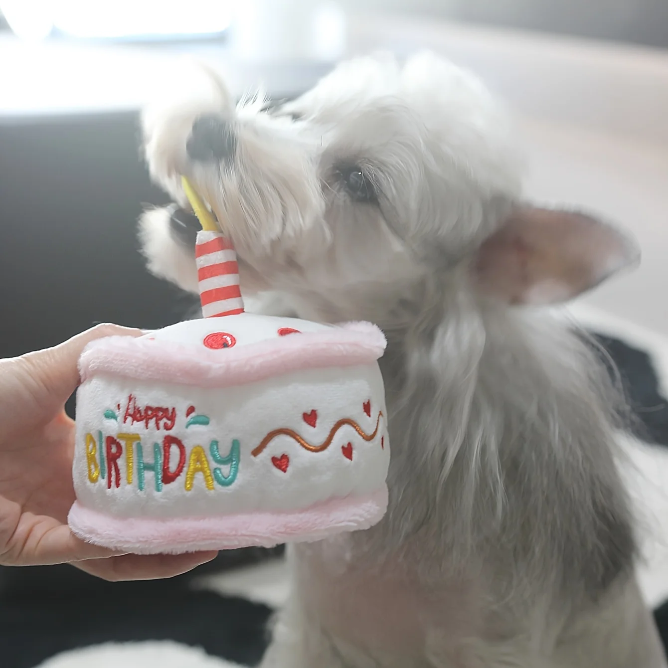 Brinquedo de Pelúcia para Pets Bolo de Aniversário Rosa 13,5 cm com Som - Image 5