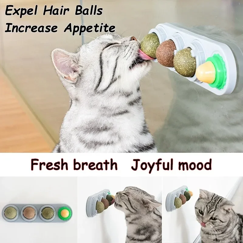 Brinquedo Bola de Videira para Gatos 4 em 1 de Material Comestível - Imagem 5