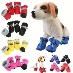 botas impermeáveis para cães