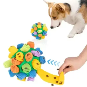 bola de cheirar para cães