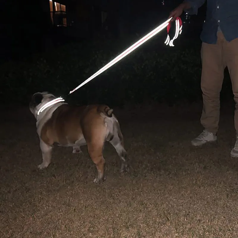 Guia para Cães e Gatos de Poliéster com Reflexo Noturno para Passeio - Imagem 2