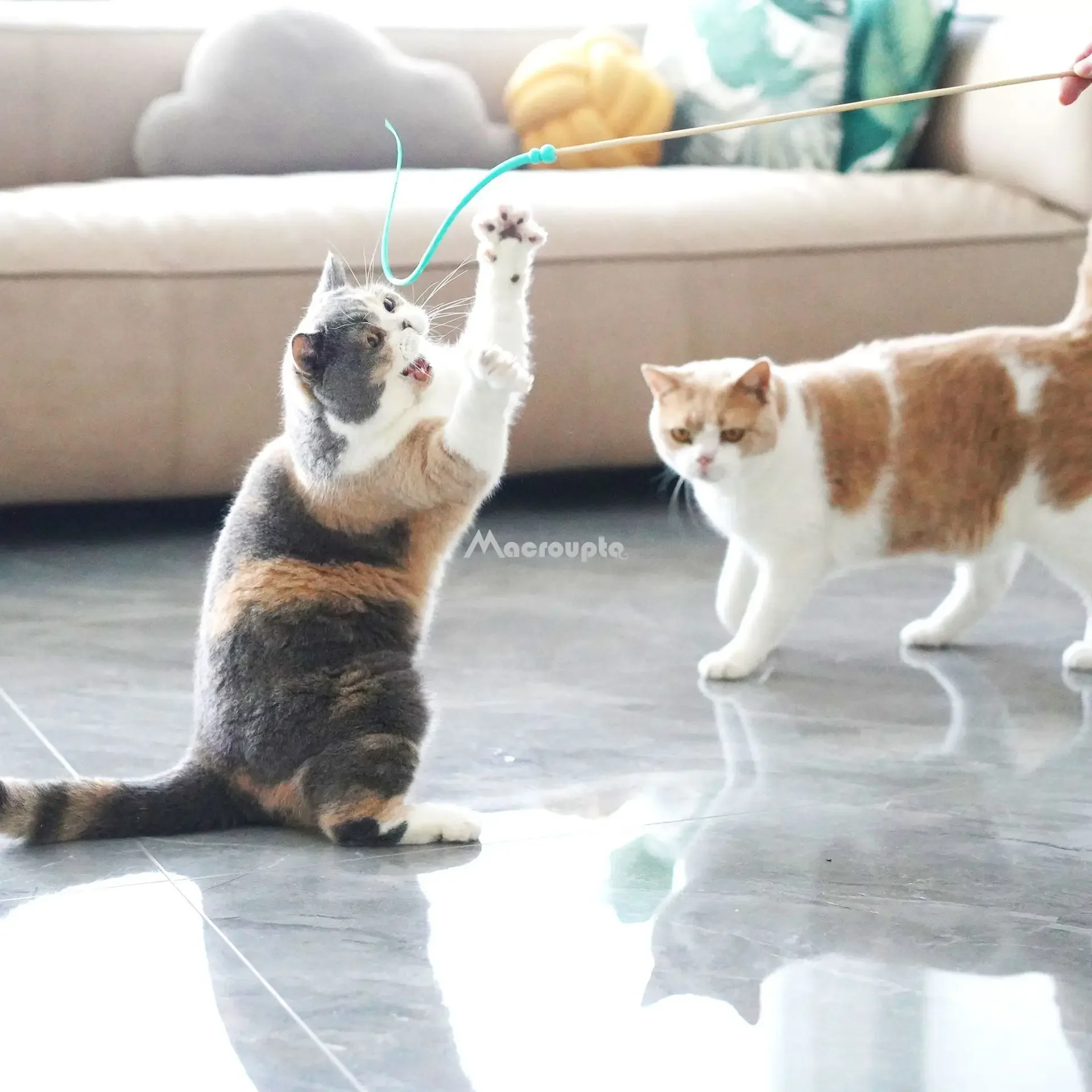 Brinquedo Interativo para Gatos com Simulação de Cauda de Rato, 71 cm - Imagem 4