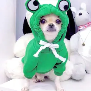 camisola de capuz verde para cães