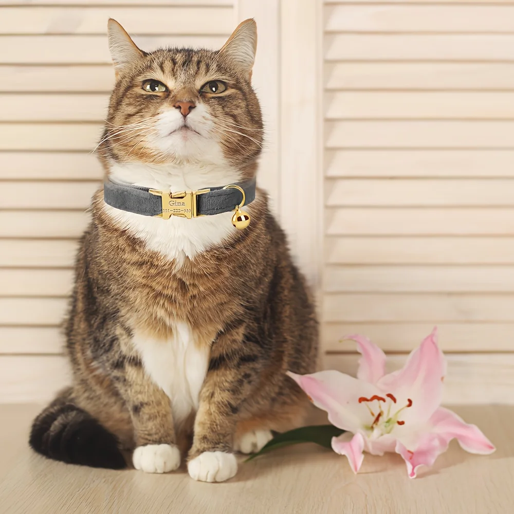 Coleira Personalizada para Gatos e Cães com Nome e Telefone - Imagem 2