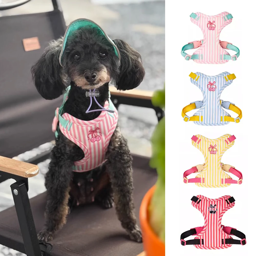 Coleira e Guia para Cães Pequenos com Design Estampado - Imagem 2