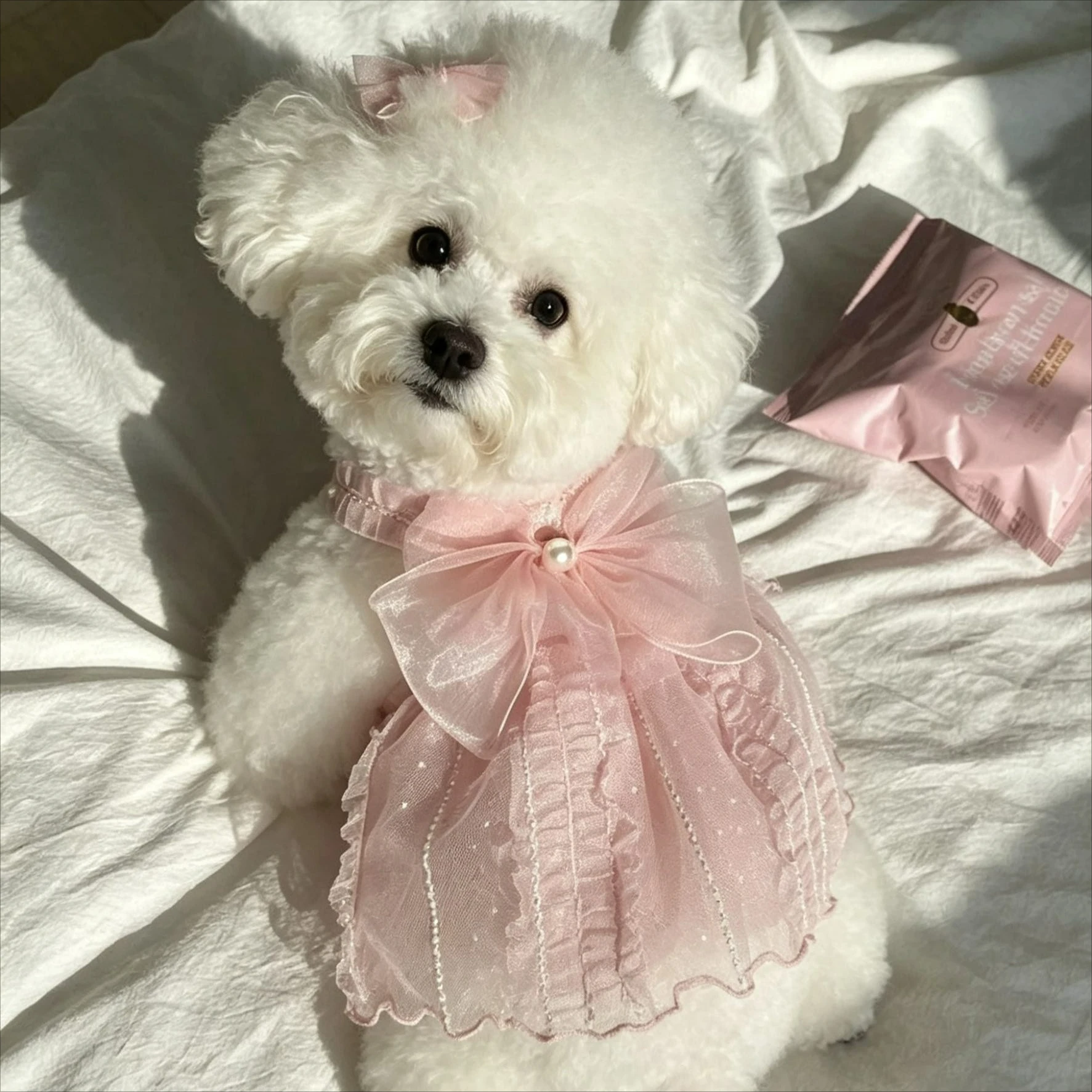 Vestido de Princesa para Cães e Gatos Pequenos de Poliéster - Image 2
