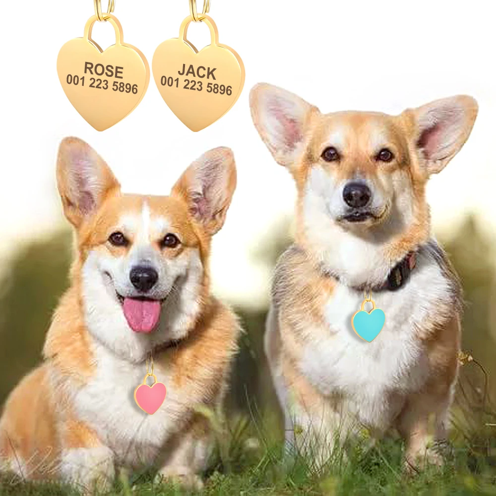 Etiqueta de Identificação para Cães e Gatos com Gravação Gratuita - Imagem 5