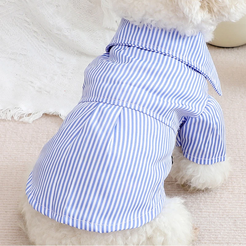 Camisa Listrada Azul para Cães Pequenos com Laço para Verão - Imagem 6