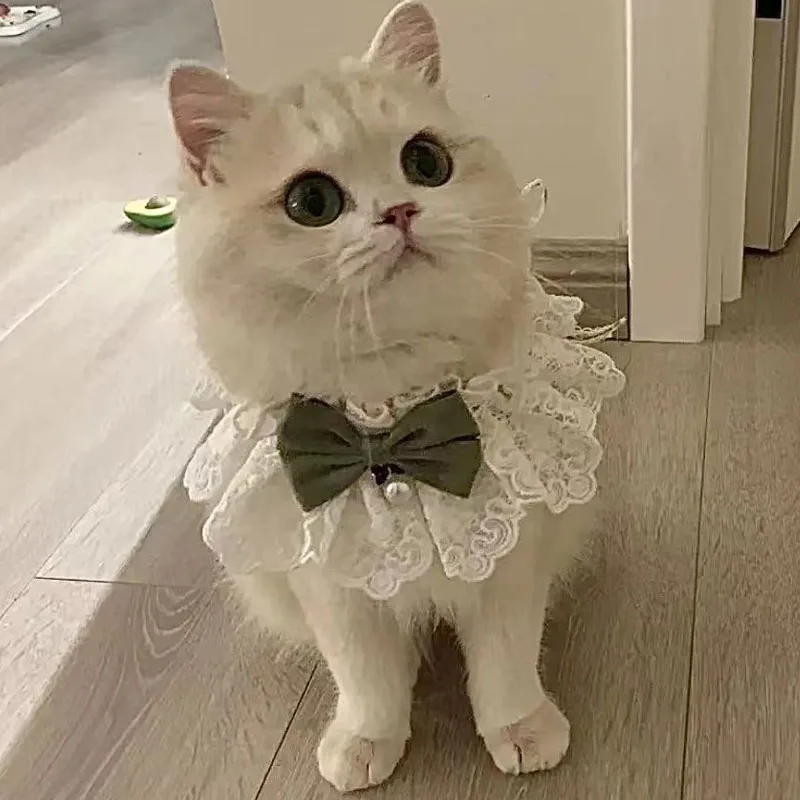 Coleira Babador para Gatos e Cães Pequenos de Renda Floral Ajustável - Imagem 4