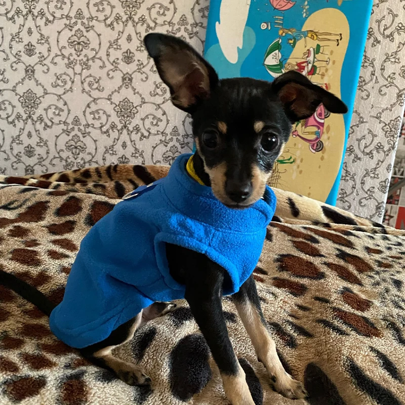 Colete de Lã para Cães Pequenos e Médios Quente - Imagem 2
