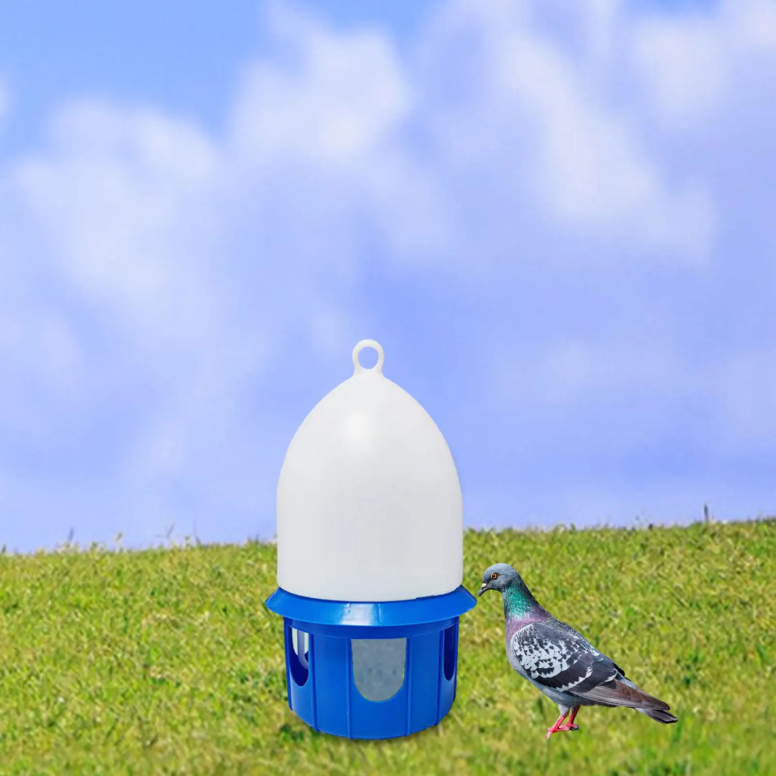 Bebedouro para Pássaros 5L com Alça para Pendurar - Imagem 4