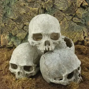 decoração de caveira artificial para terrário de répteis