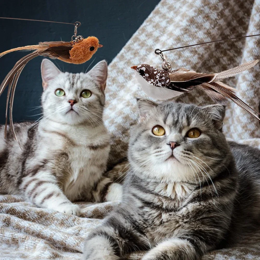 Brinquedo Varinha para Gatos Pena de Pássaro com Sino e Ventosa - Imagem 5