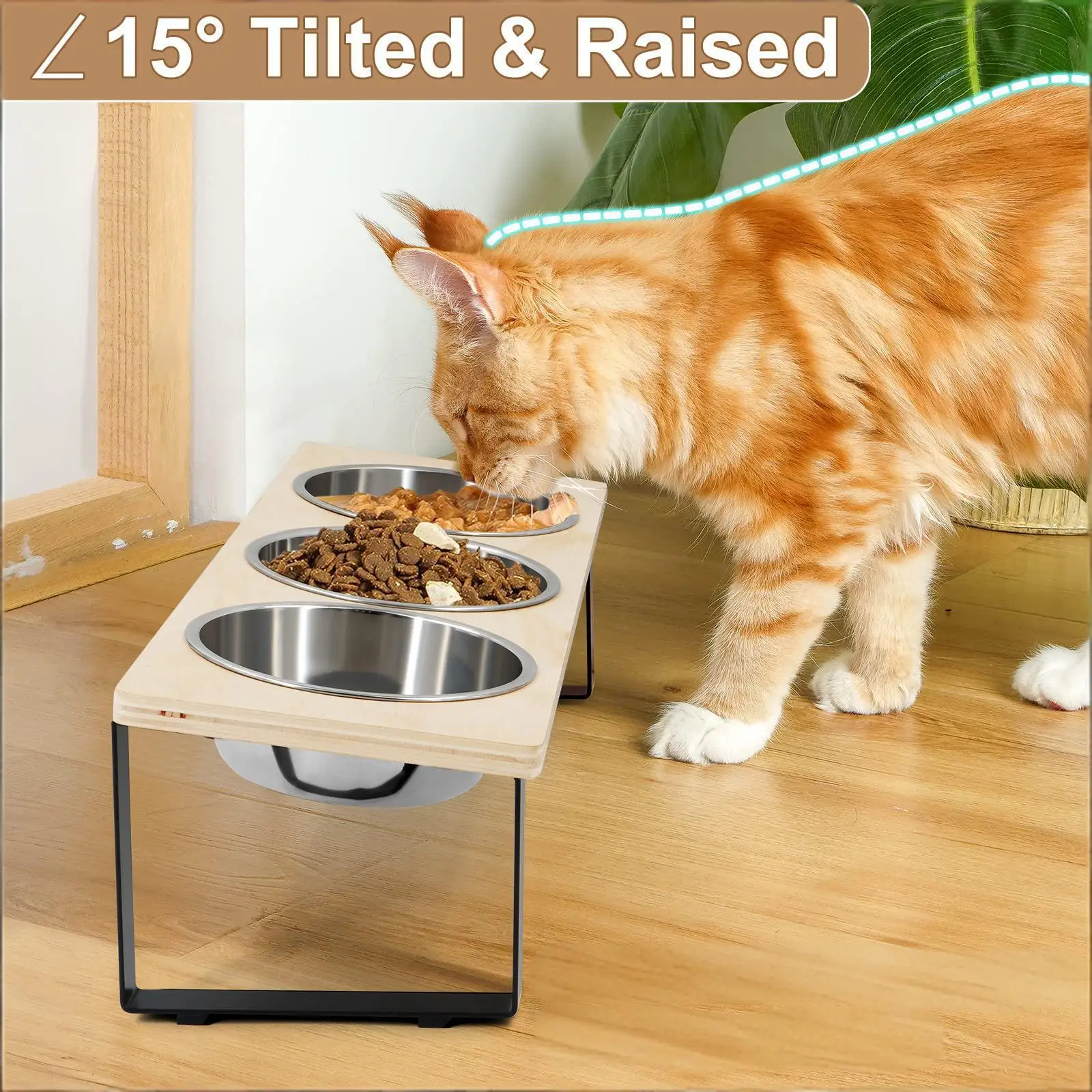 alimentador elevado para gatos com tigelas inclinadas
