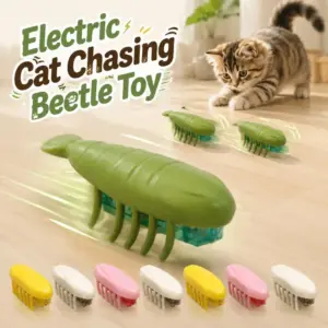 brinquedo elétrico para gatos besouro