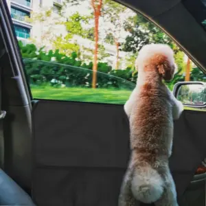 protetor de porta de carro para pet