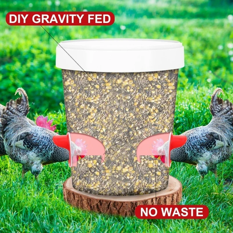Alimentador de Gravidade para Aves com Porta à Prova de Chuva - Imagem 2